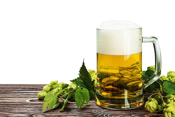 istock Mug with Beer with hop on wooden table isolated 490943706