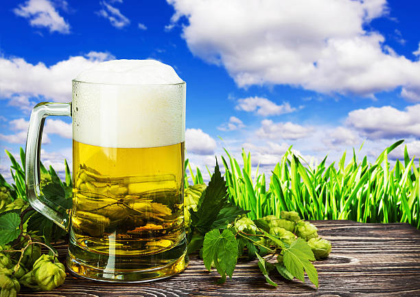 istock Mug with Beer with hop on a wooden table 490943766