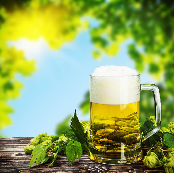 istock Mug with Beer with hop on a wooden table 490943806