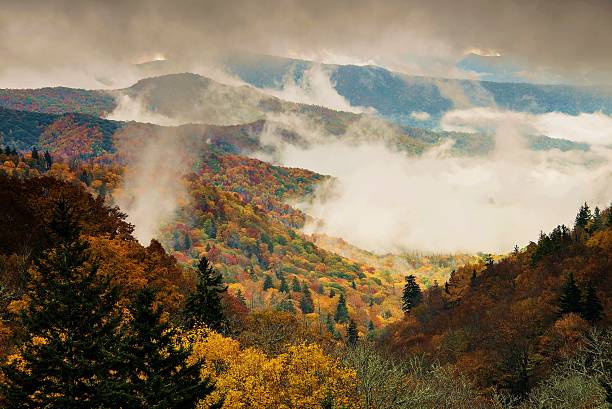 Oconaluftee Valley Overlook in Great Smoky Mountains National Park  in mist stock photo