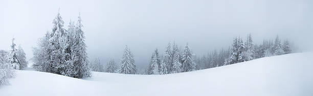 istock Snow-covered firs on mountain hill panorama 490945918