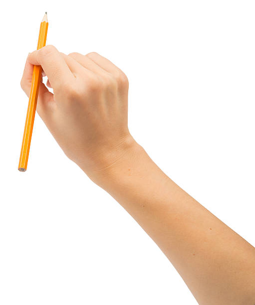 istock Humans hand holding yellow pencil 490957908