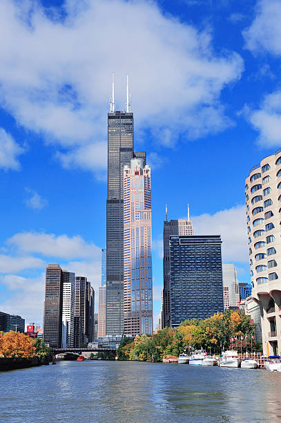 skyline der innenstadt von chicago - sears tower stock-fotos und bilder