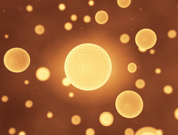istock Illustration of cells 490960038