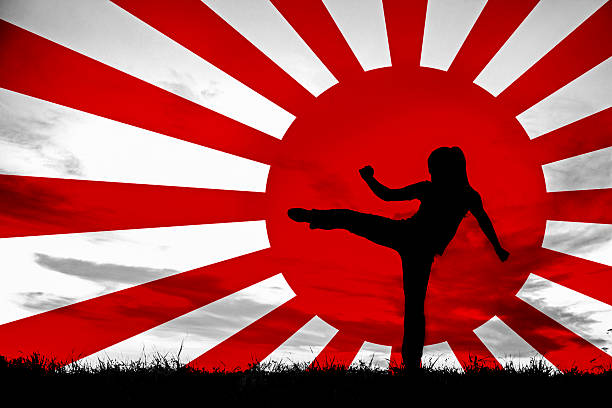 Fighter Silhouette of a female Japanese warrior on a flag. Woman with ponytail high kicking with her leg. martial arts photos stock illustrations
