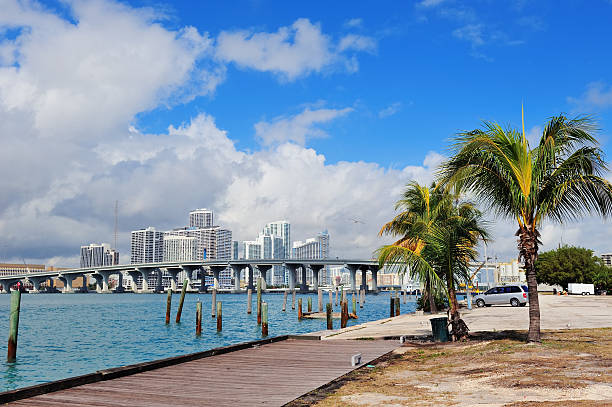 istock Miami city tropical view 490966466