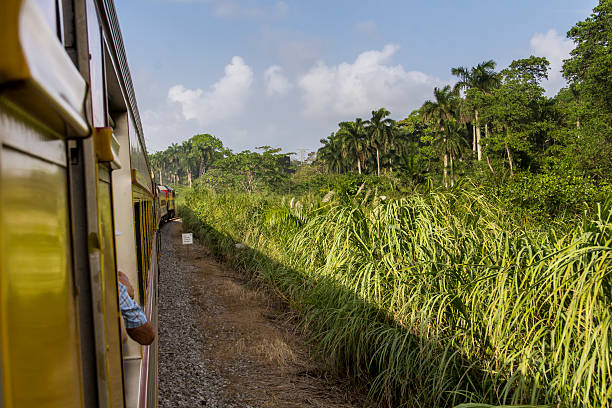 Travelling with train in Panama stock photo