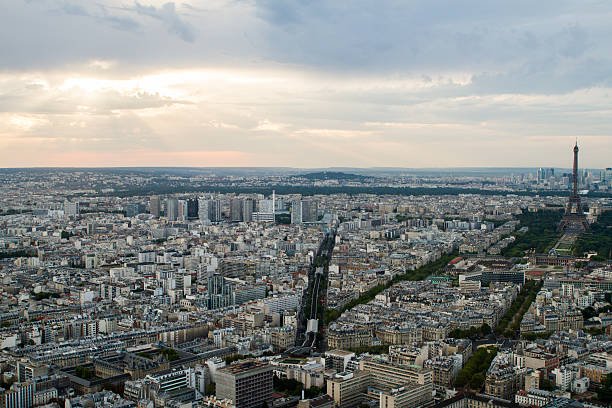 istock Aerial view of Paris 490968636