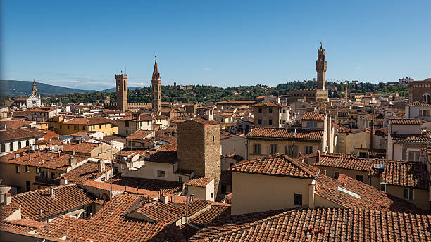 istock Aerial view of |Florence 490973056