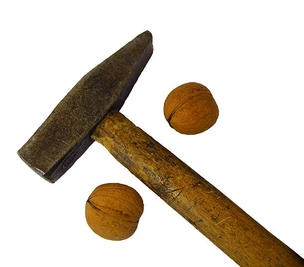 Hammer and walnuts stock photo