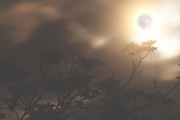 istock Silhouettes of the forest with Moon and clouds 490986210