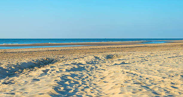 istock Blue sky over a beach along the North Sea 490988452