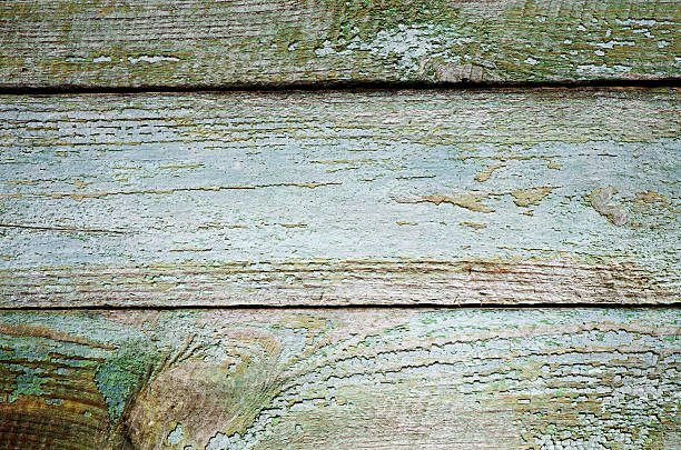 istock Abstract texture of wood 490988689