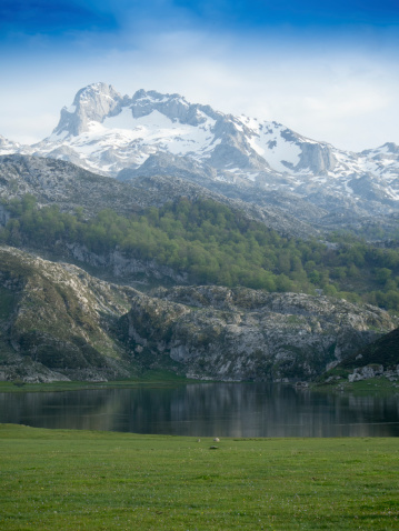 View of a mountain lake called the Ercina Lago, into the national park of Picos de Europa in Asturias-Spain, with a snowy mountains on the background
