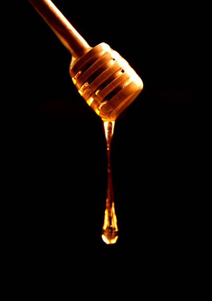 istock Honey stick with flowing  over dark background close up 490990288