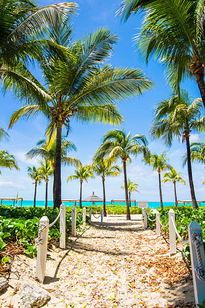 Beautiful tropical landscape on the exotic resort Beautiful tropical colorful landscape on the exotic resort grace bay stock pictures, royalty-free photos & images