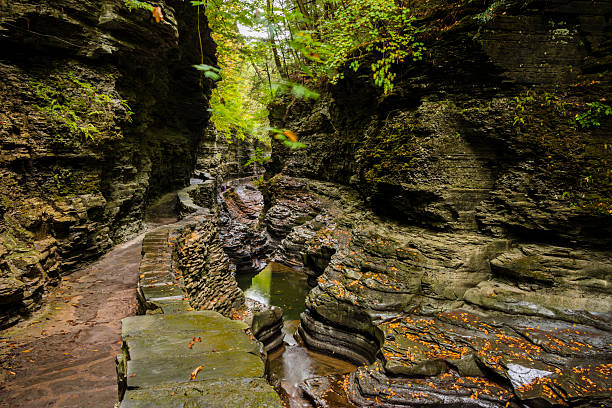 istock XXXL: Gorge trail through Watkins Glen State Park 490990958