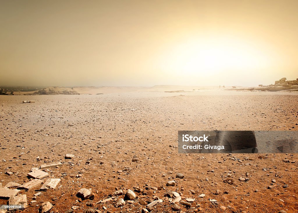 Desert in Egypt Sandy desert in Egypt at the sunset Desert Area Stock Photo