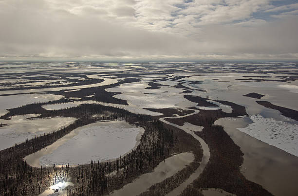 Channels of the Mackenzie River Delta, NT, Canada