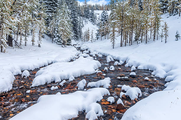 istock Small River surrounded by snow at Mount Assiniboine Provincial Park 490992320