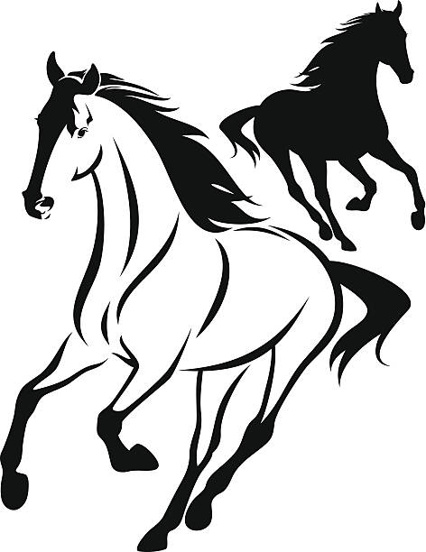 940+ Horse Front View Illustrations, Royalty-Free Vector Graphics ...