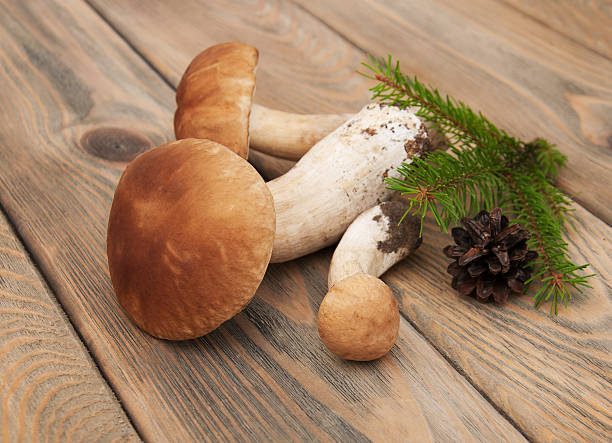 boletus mushrooms boletus mushrooms  on a old wooden background Cepe stock pictures, royalty-free photos & images