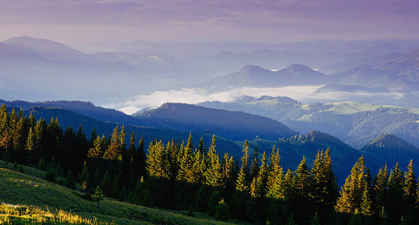 istock Fantastic sunset in the mountains of Ukraine. 490993982