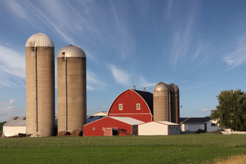 Rural scene showing a modern family farm with a bright red barn surrounded by silos and set between a green farm field and dramatic blue sky.  Wispy clouds provide depth to the image and draw the viewer’s eye to the red barn.  The sky also provides text space if needed.