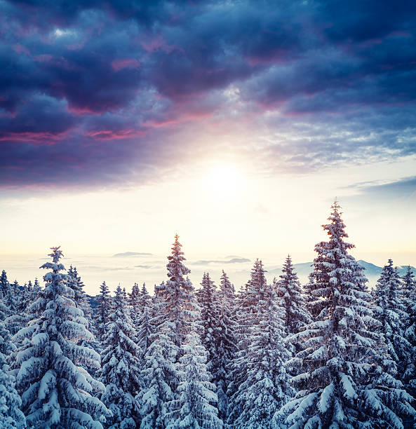 istock Sunrise Above The Winter Forest 490997354