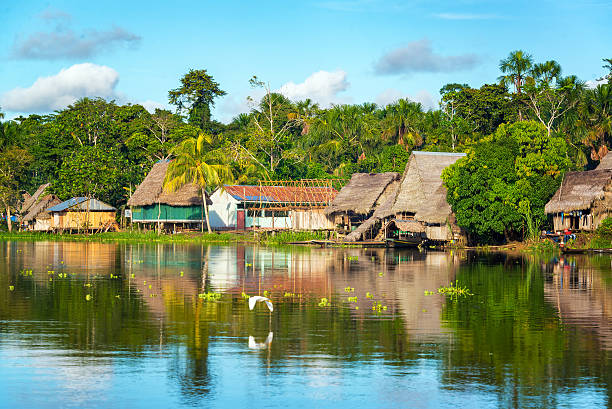 Amazon Jungle Village View of a small village in the Amazon rain forest on the shore of the Yanayacu River in Peru amazon river stock pictures, royalty-free photos & images