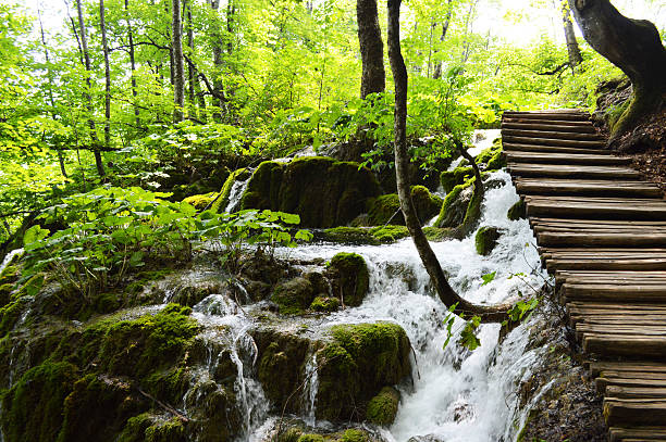 istock wooden walkway over plitvice waterfall 490999212