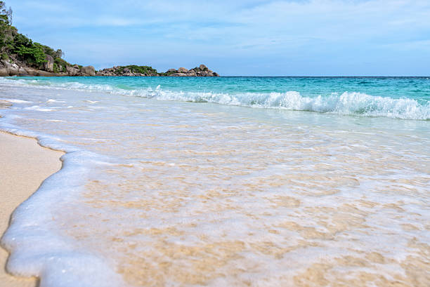 istock Beach and waves at Similan National Park in Thailand 491000548