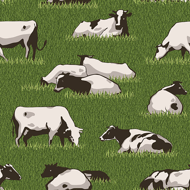 Cow Color Pattern Herd of cows seamless color pattern with standing, lying, relaxing and nipping the green grass stylized cows in different poses vector illustration herd of cows stock illustrations