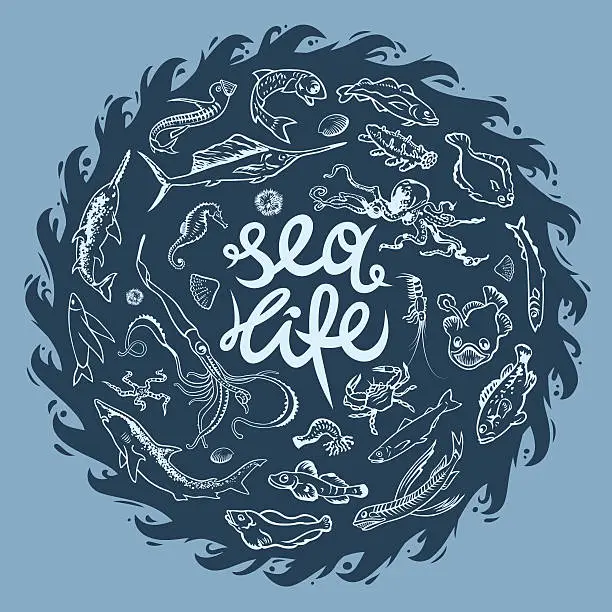 Vector illustration of Sea life