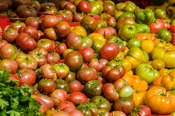 cartaz de tomate heirloom no mercado - heirloom tomato homegrown produce tomato organic imagens e fotografias de stock