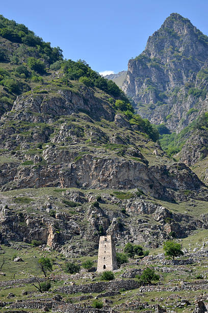 istock ancient watchtower in the mountains 491021432