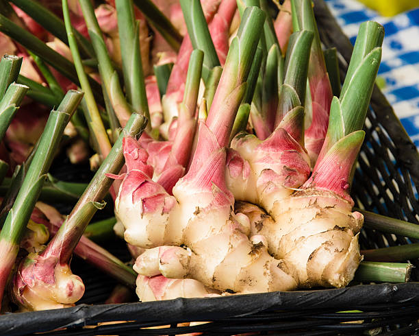 istock Fresh ginger root spice at the market 491021456