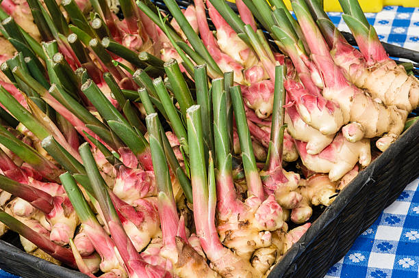 istock Fresh ginger root spice at the market 491021502