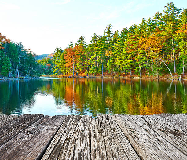 istock Pond in White Mountain National Forest, New Hampshire 491021846
