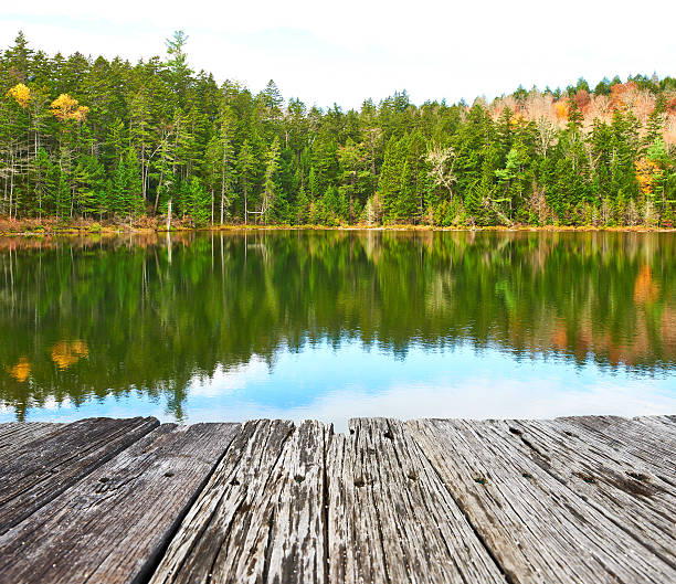 istock Pond in White Mountain National Forest, New Hampshire 491022374