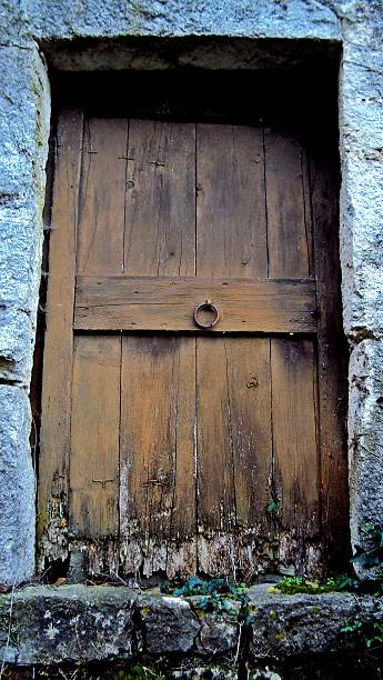 istock Old, ruined doors 491025584