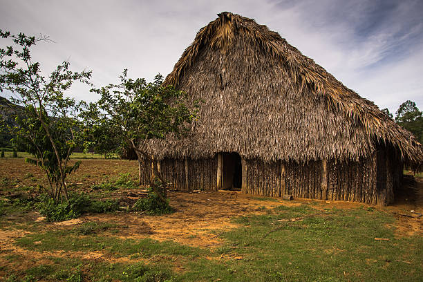 istock Tobacco plantation in Vinales Valley,Cuba. 491027574