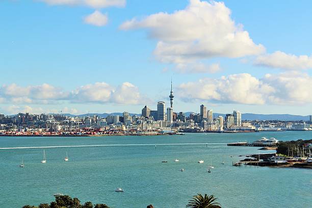 istock Auckland City View 491044622