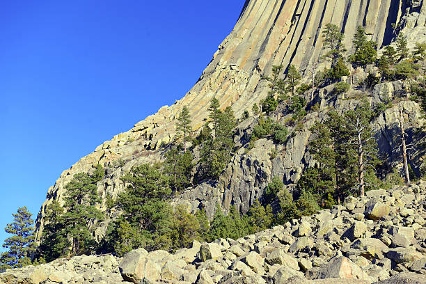 istock Devils Tower National Monument, Wyoming, USA 491045074