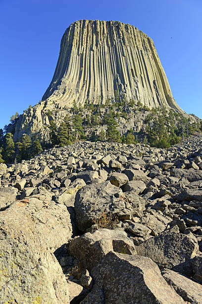 istock Devils Tower National Monument, Wyoming, USA 491045120