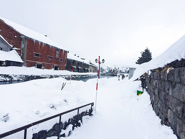 istock Snow storm and snow wind at Hokkaido, Japan 491045316