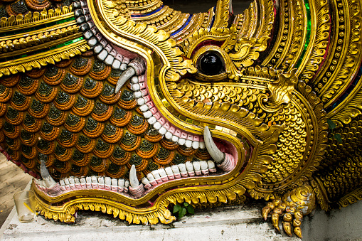 the animal in buddhism belief depicts as protector in front of temple