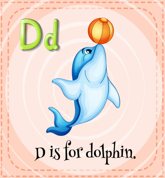 Flashcard Letter D Is For Dolphin Stock Photos, Pictures & Royalty-Free ...