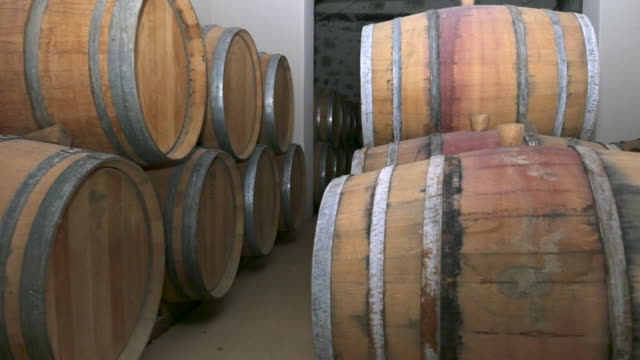 Wine barrels in french winery