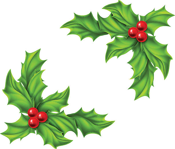 illustrazioni stock, clip art, cartoni animati e icone di tendenza di natale agrifoglio design - christmas frame holly leaf